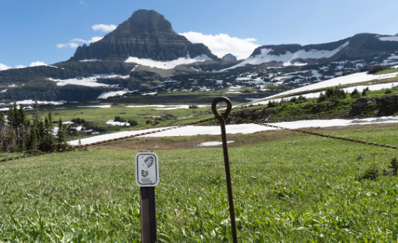 Montana